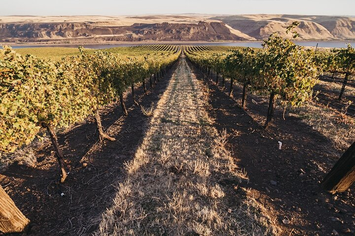 Hurray for Hollywood, Woodinville Winery Pass - Photo 1 of 6